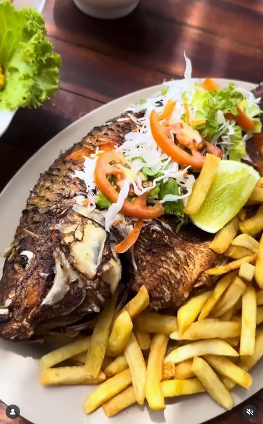Tilápia completa + bolinhas de queijo ou peixe + 2 Acessos ao parque aquático de R$179,90 por apenas R$89,90. - Imagem 12